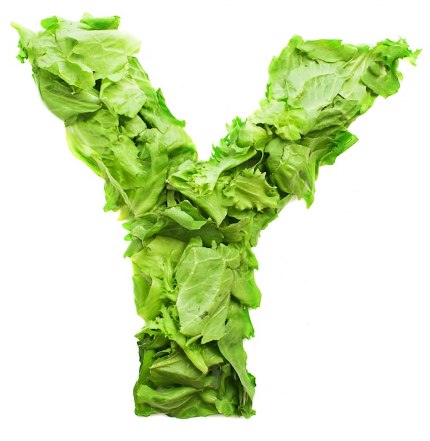 Letra y hecha con lechuga nutritiva