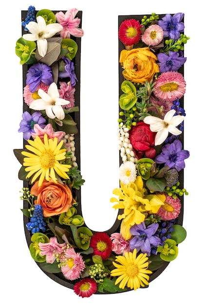 Letra u hecha de flores y hojas naturales reales sobre un fondo blanco aislado
