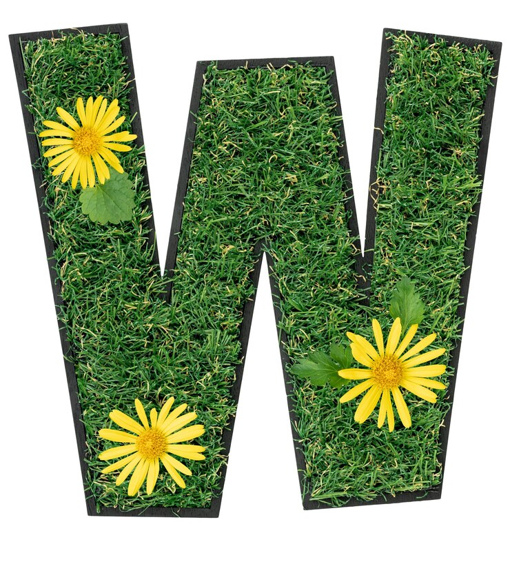 Foto gratuito letra w hecha de hierba verde con flores aisladas en blanco