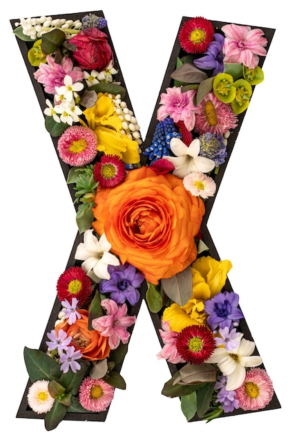 Letra x hecha de flores y hojas naturales reales en fondo blanco aislado