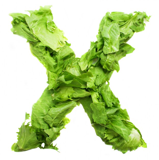 Letra x con hojas de lechuga fresca