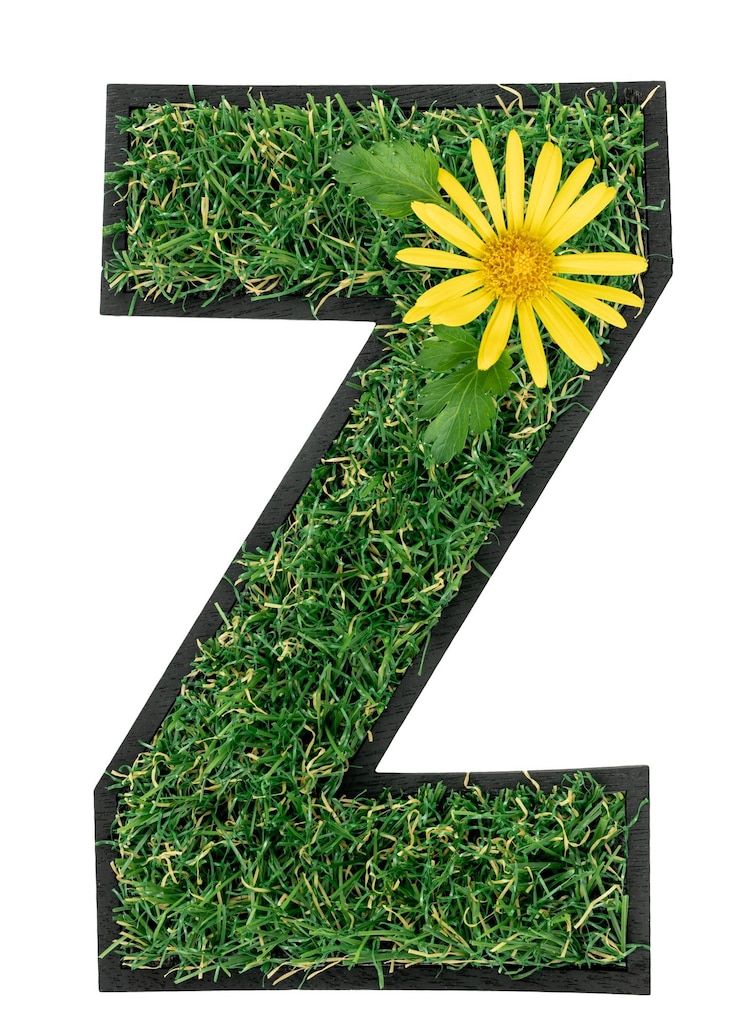 Foto gratuito letra z hecha de hierba verde con flores aisladas sobre un fondo transparente