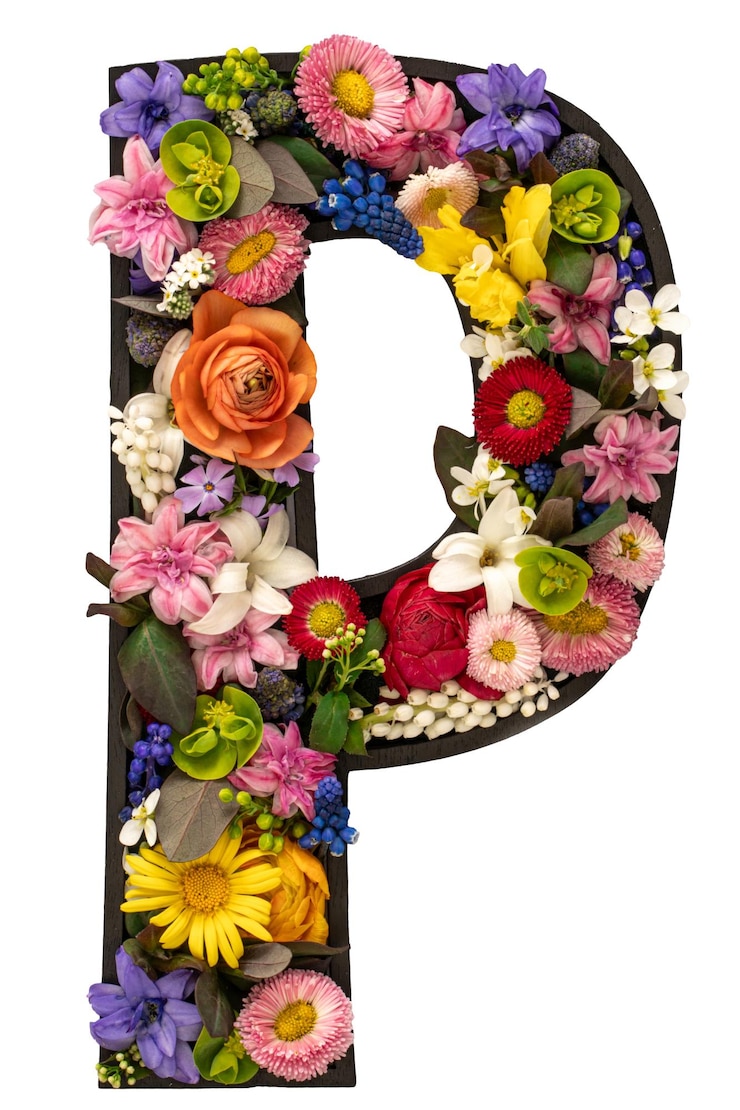 Photo Gratis letter p made of real natural flowers and leaves on white background isolated