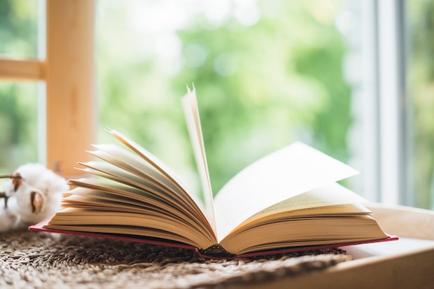 Libro abierto junto a la ventana en casa