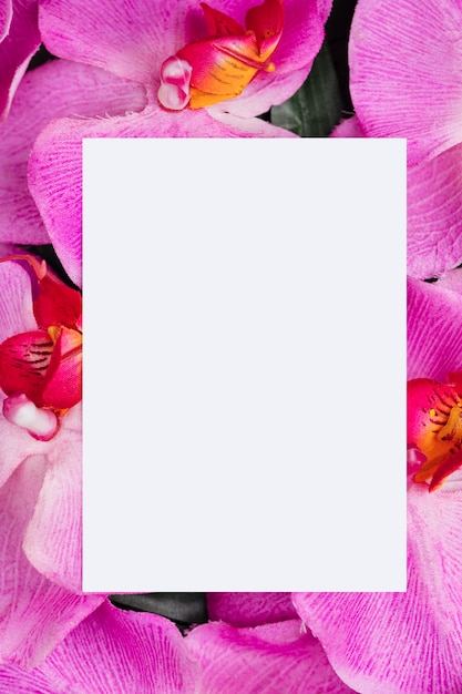 Foto gratuita libro blanco sobre fondo de flores de orquídeas