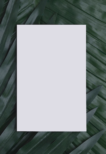 Libro blanco sobre hojas tropicales copia espacio