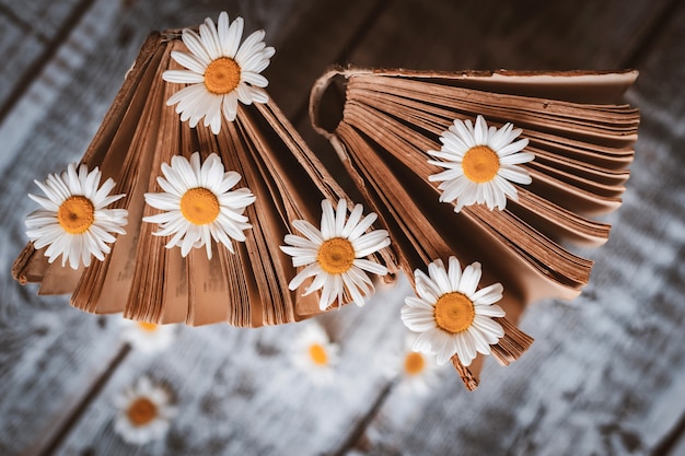 Libros antiguos con flores de margaritas blancas.