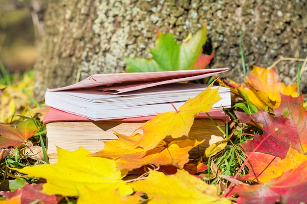 Libros antiguos con hojas secas