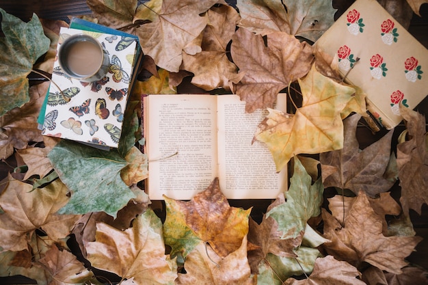 Libros y bebidas en hojas