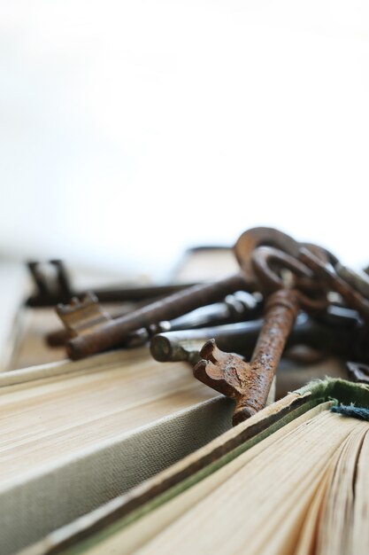 Libros en la biblioteca