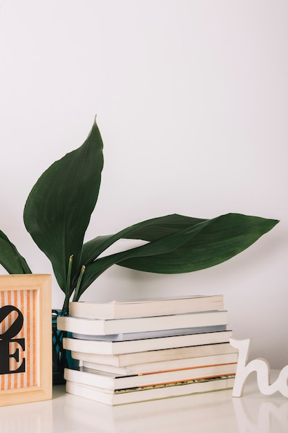 Libros cerca de la planta verde