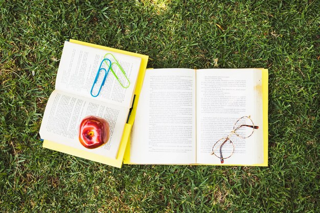 Libros con gafas y manzana sobre hierba