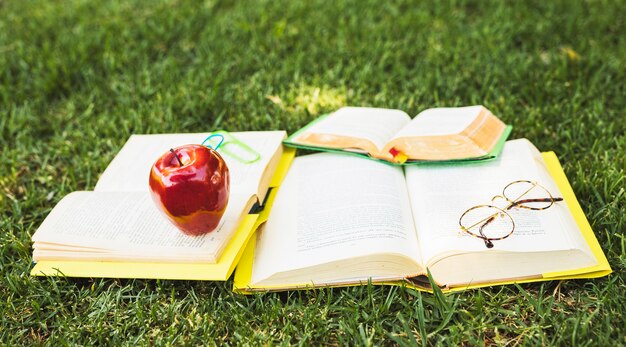 Libros con papelería en césped verde