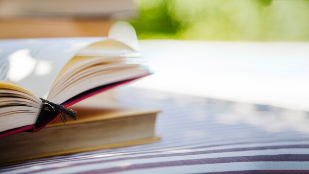 Libros puestos en cama de plumas