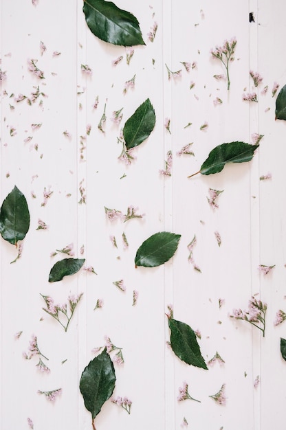 Foto gratuita lila flores y hojas sobre una superficie de madera blanca
