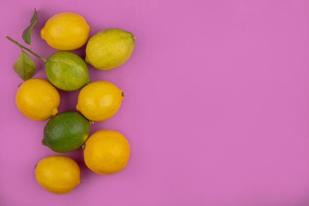 Limones de espacio de copia de vista superior con limas sobre fondo rosa