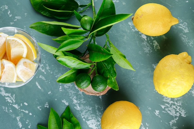 Limones con hojas, tablero de madera sobre superficie de yeso, vista superior