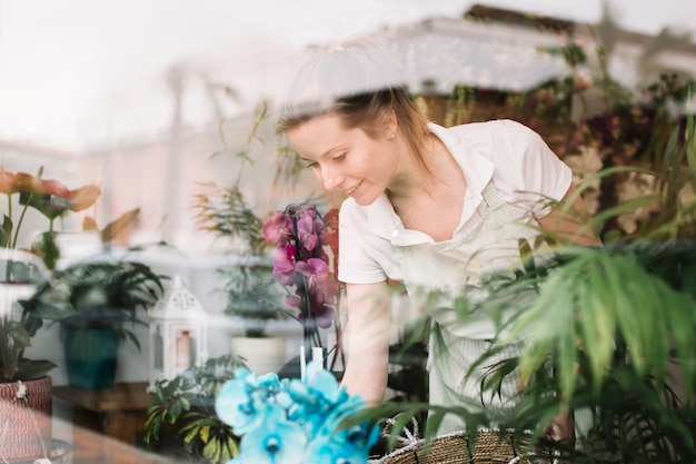 Linda florista arreglando la ventana de la tienda