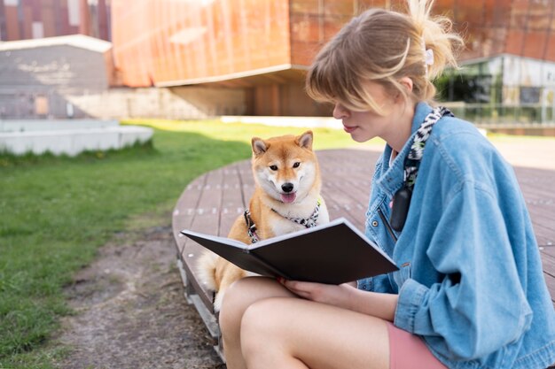 Linda mascota shiba inu con familia