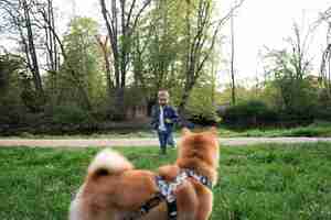 Foto gratuita linda mascota shiba inu con familia