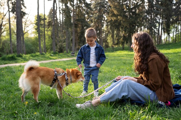 Linda mascota shiba inu con familia