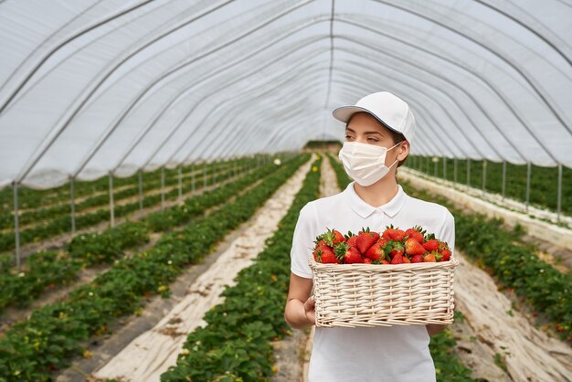 Linda mujer sosteniendo deliciosas fresas en la canasta