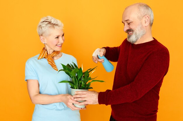 Linda pareja de ancianos encantadora cuidando juntos de la planta de interior. Feliz hermosa mujer madura sosteniendo una maceta de flores mientras su marido barbudo hidrata sus hojas verdes con atomizador