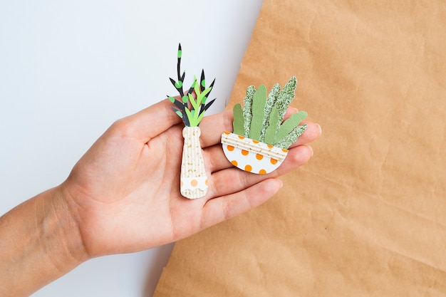 Linda variedad de plantas de papel en la mano