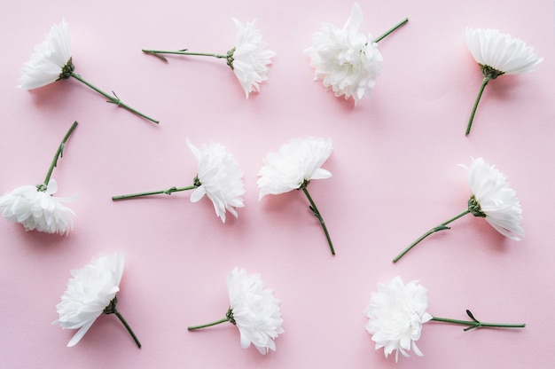 Lindas flores blancas sobre un top rosa claro