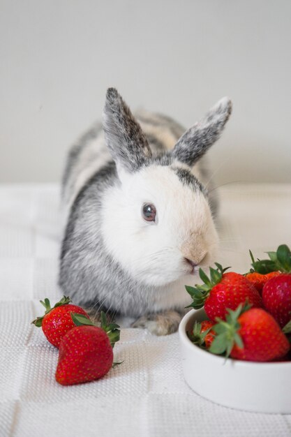 Lindo conejo de conejito y fresas en la mesa