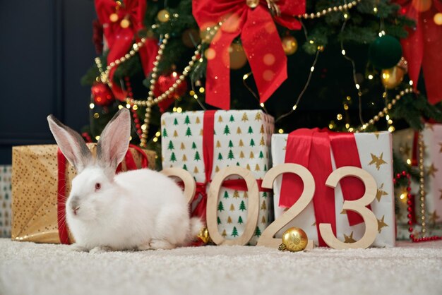 Lindo conejo peludo sentado sobre una alfombra blanca cerca del árbol de Navidad