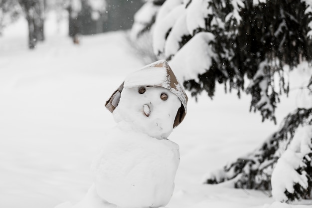 Lindo muñeco de nieve en el bosque