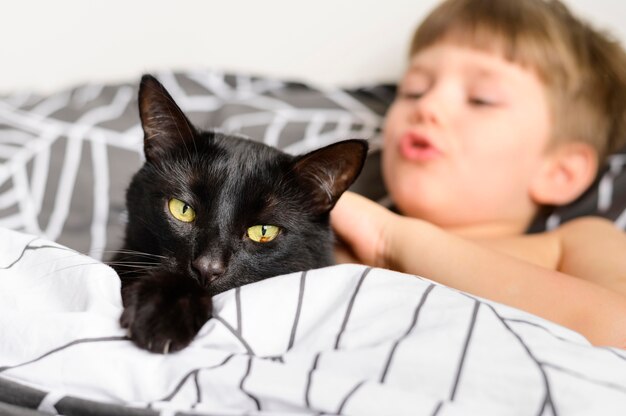 Lindo niño acariciando a su gato en casa