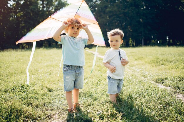 Lindo niño pequeño en un campo de verano con una cometa