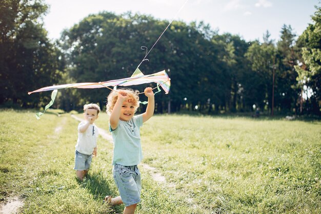 Lindo niño pequeño en un campo de verano con una cometa