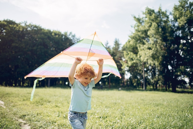 Lindo niño pequeño en un campo de verano con una cometa