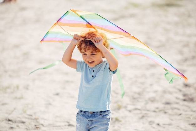 Lindo niño pequeño en un campo de verano con una cometa