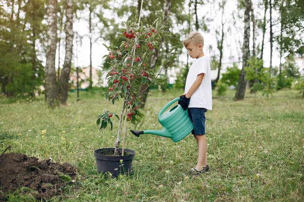 Lindo niño plantar un árbol en un parque