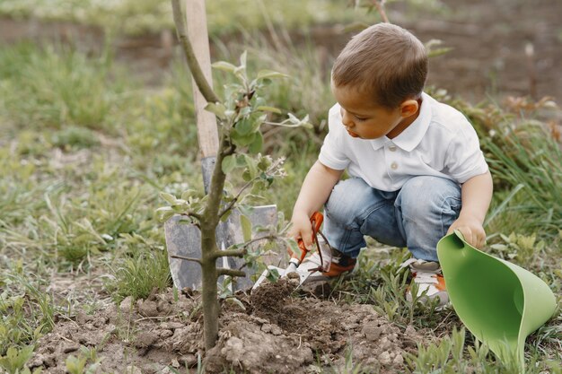 Lindo niño plantar un árbol en un parque