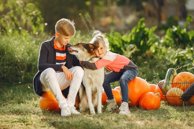 Lindo niño sentado en un jardín cerca de muchas calabazas