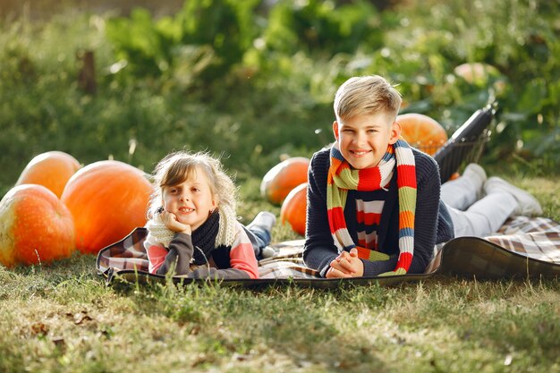 Foto gratuita lindo niño sentado en un jardín cerca de muchas calabazas