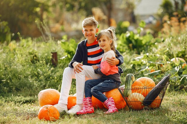 Lindo niño sentado en un jardín cerca de muchas calabazas