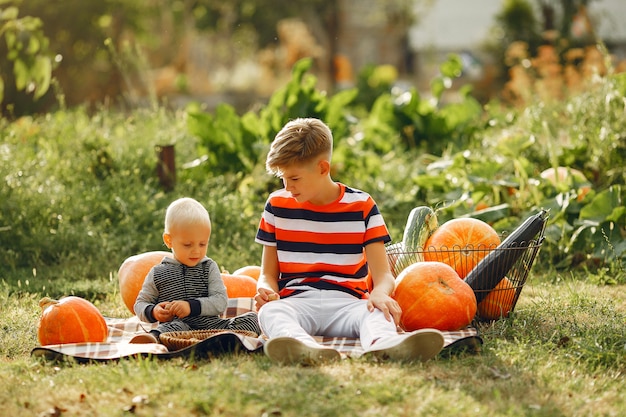 Lindo niño sentado en un jardín cerca de muchas calabazas