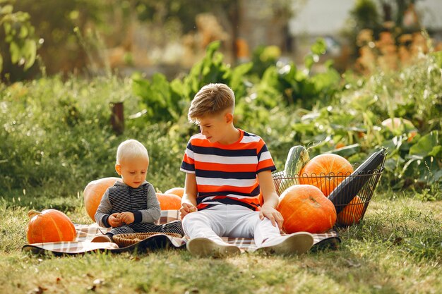 Lindo niño sentado en un jardín cerca de muchas calabazas