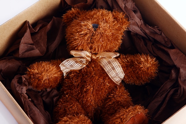 Lindo oso de peluche en la caja de regalo