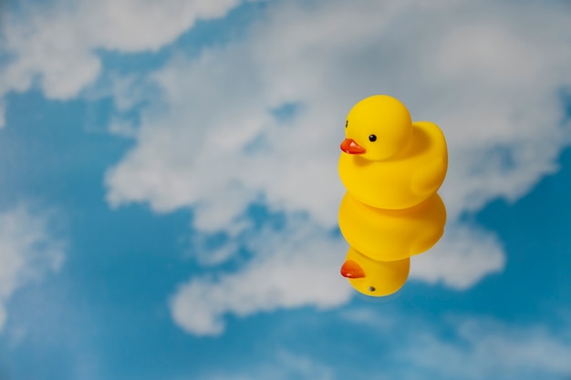 Foto gratuita lindo pato de goma bodegón