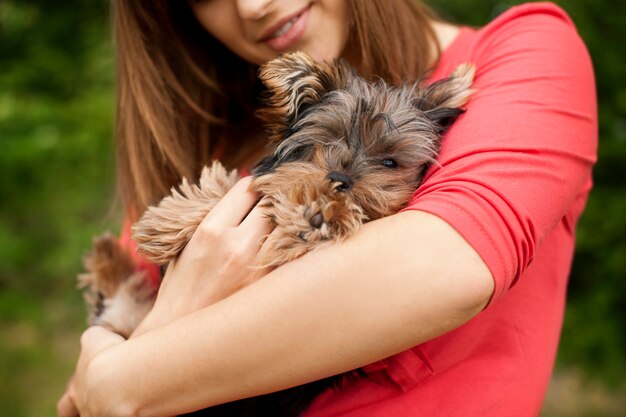 Lindo perrito en brazos de mujer