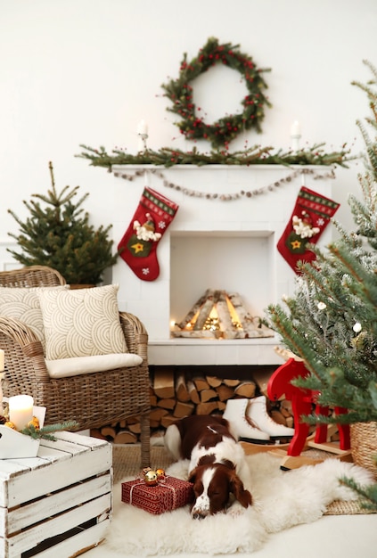 Lindo perrito en una sala de estar decorada de Navidad