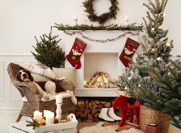 Foto gratuita lindo perrito en una sala de estar decorada de navidad