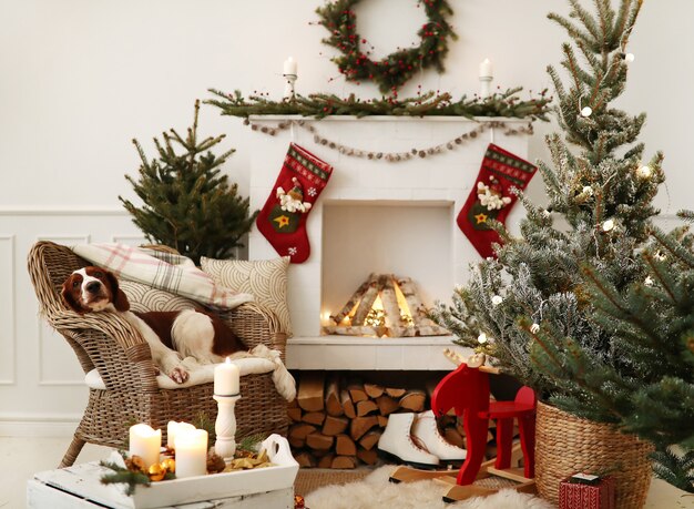 Lindo perrito en una sala de estar decorada de Navidad